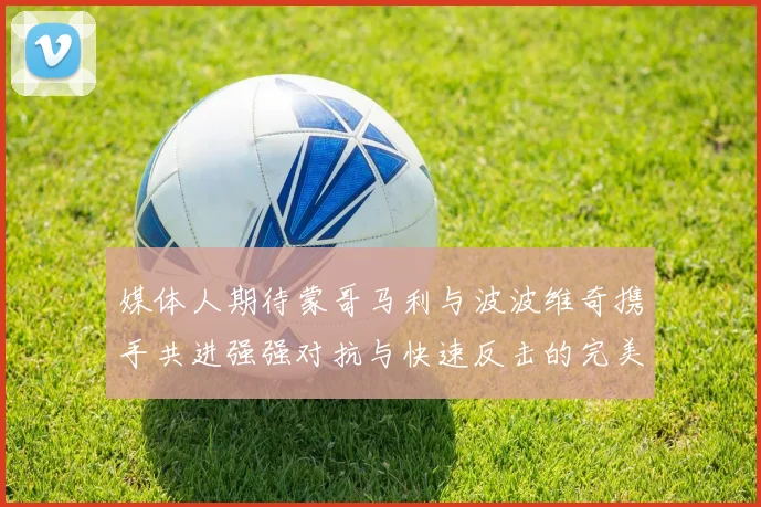 媒体人期待蒙哥马利与波波维奇携手共进强强对抗与快速反击的完美结合