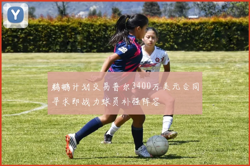 鹈鹕计划交易普尔3400万美元合同寻求即战力球员补强阵容